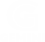 Gemini Software Solutions